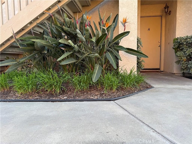 view of exterior entry featuring a patio and stucco siding