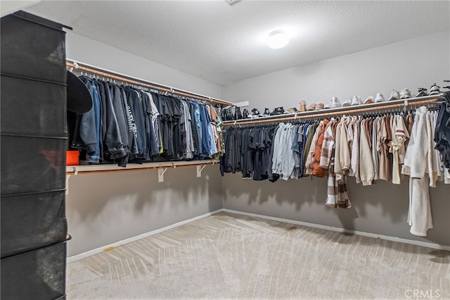 spacious closet featuring carpet flooring