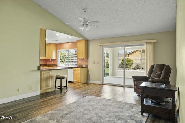 interior space featuring lofted ceiling, wood finished floors, baseboards, and a textured ceiling