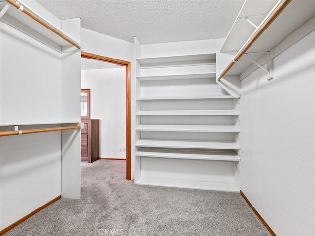 walk in closet featuring carpet