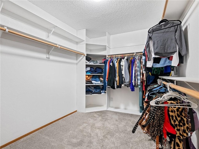 spacious closet with carpet