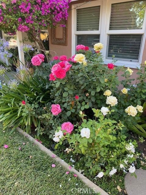 17407 Cantara St, Northridge, CA 91325 - exterior view
