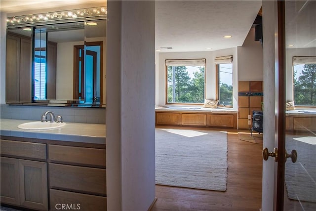 bathroom with tasteful backsplash, a healthy amount of sunlight, vanity, and wood finished floors