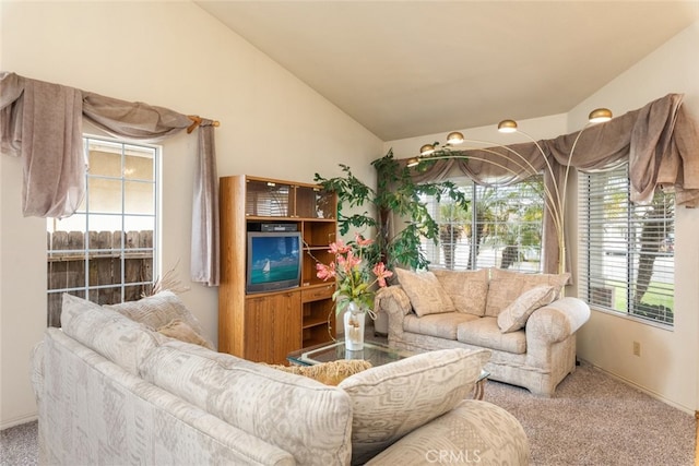 carpeted living room featuring lofted ceiling