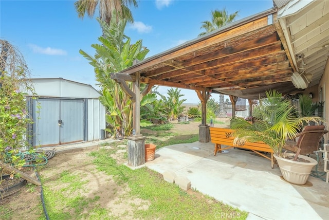 view of yard featuring a patio, an outdoor structure, and a shed