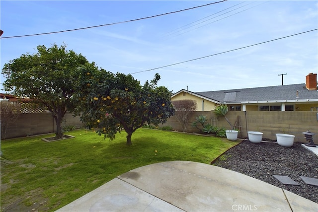 view of yard featuring a patio area