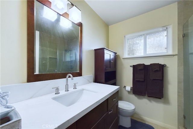 bathroom with vanity, toilet, and walk in shower