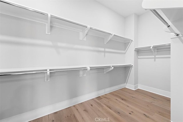 spacious closet featuring light wood-type flooring