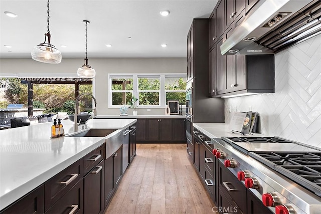 kitchen featuring appliances with stainless steel finishes, range hood, decorative backsplash, pendant lighting, and sink