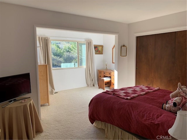 bedroom featuring carpet floors and a closet