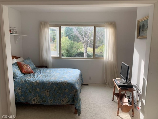 bedroom with carpet floors