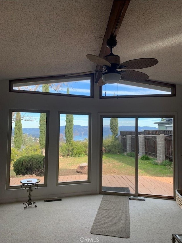 interior space with carpet and ceiling fan