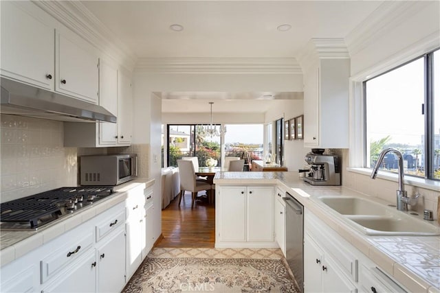 kitchen featuring under cabinet range hood, stainless steel appliances, a peninsula, a sink, and hanging light fixtures