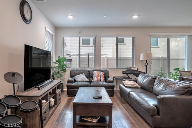 living room featuring light wood-type flooring and plenty of natural light