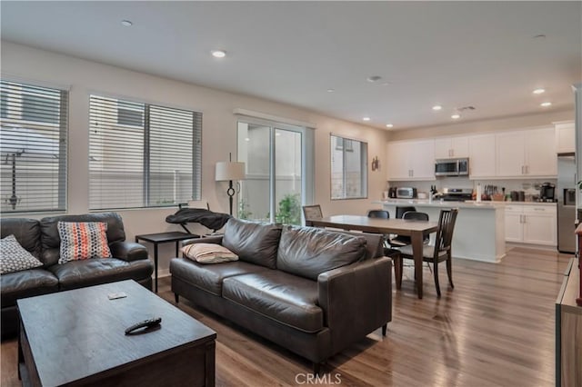 living room with plenty of natural light and light hardwood / wood-style flooring