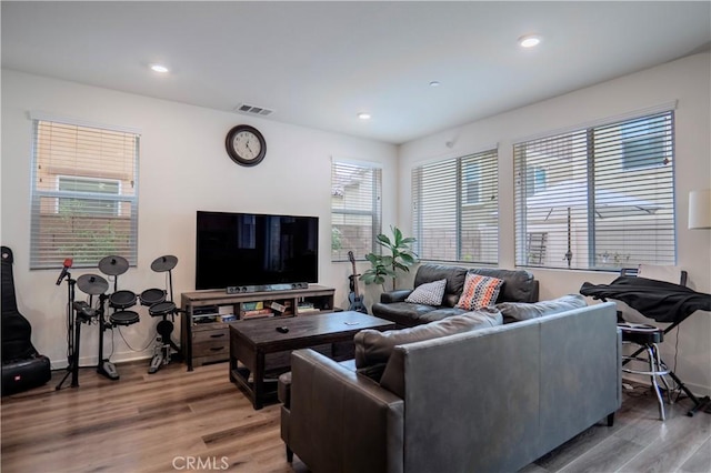 living room with wood-type flooring