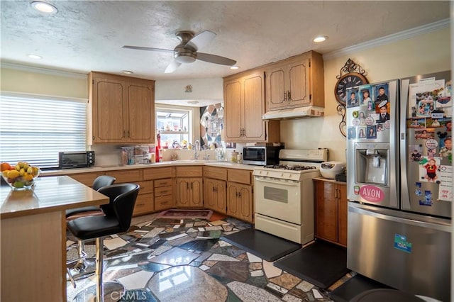 kitchen featuring ceiling fan, ornamental molding, sink, and stainless steel appliances