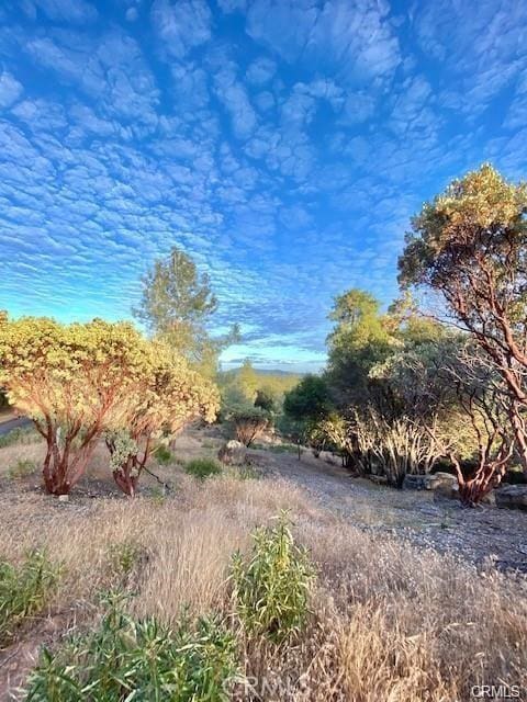 Listing photo 3 for 175Acres Vista Lago, Mariposa CA 95338