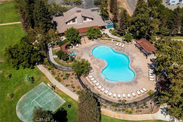 pool with a water slide