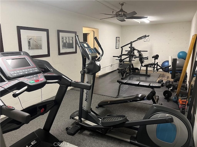 2929 Waverly Dr Unit 213, Los Angeles, CA 90039 - exercise area with ceiling fan and concrete block wall