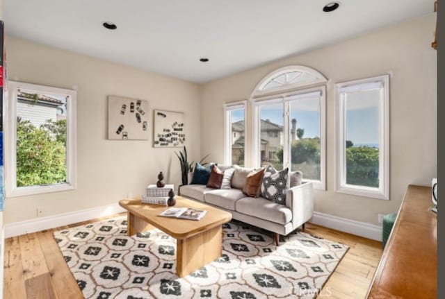 living area featuring recessed lighting, baseboards, and wood finished floors