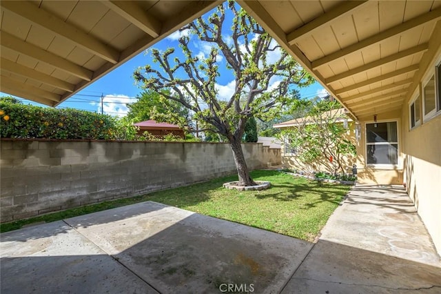 view of yard with a patio