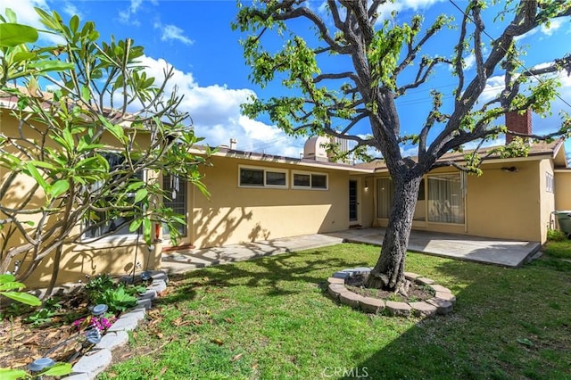 back of house featuring a patio and a yard