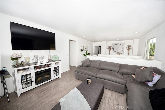 living room featuring wood-type flooring