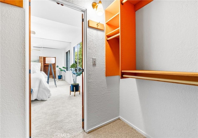 spacious closet with carpet flooring