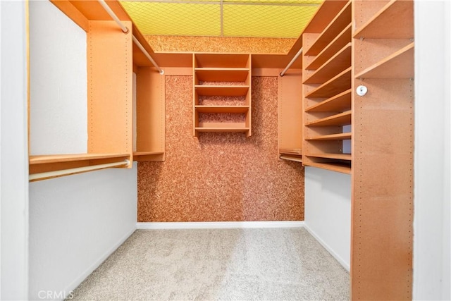 walk in closet featuring carpet flooring