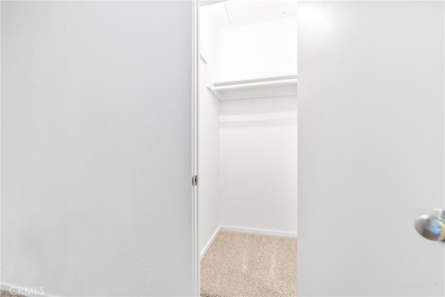 spacious closet with carpet floors