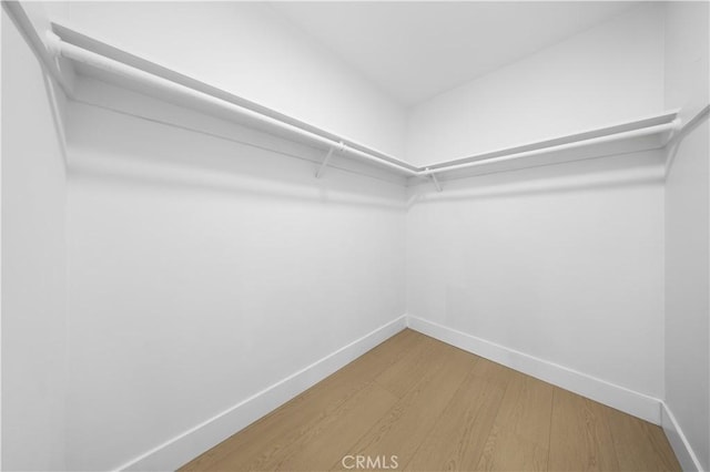 walk in closet with hardwood / wood-style floors