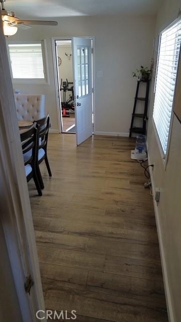 corridor featuring plenty of natural light, baseboards, and wood finished floors