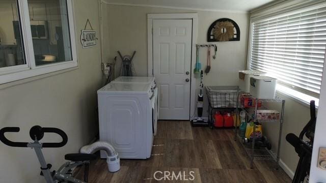 laundry area featuring dark wood-style floors, laundry area, and washer and dryer