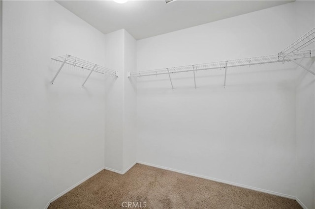 40241 Courtland Way, Temecula, CA 92591 - spacious closet featuring carpet floors