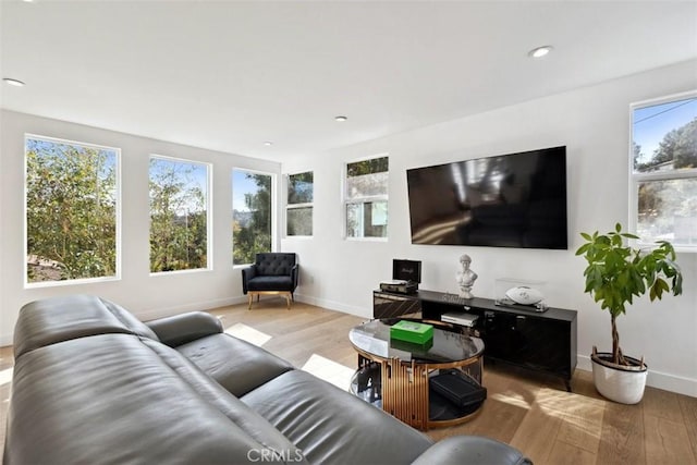 living room with light hardwood / wood-style flooring