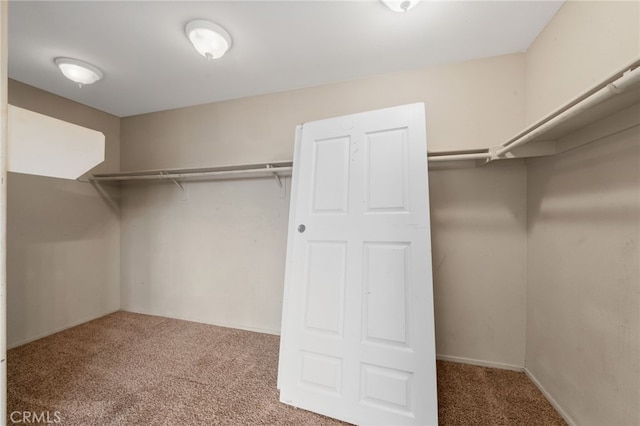 spacious closet with carpet flooring