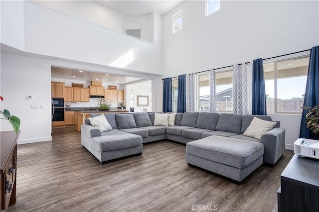 living room with dark hardwood / wood-style floors