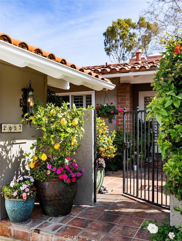 doorway to property with a gate, a tile roof, and stucco siding