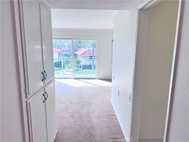 hallway with crown molding and light colored carpet