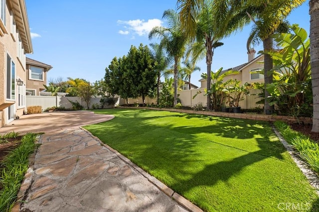 view of yard with a patio area and a fenced backyard