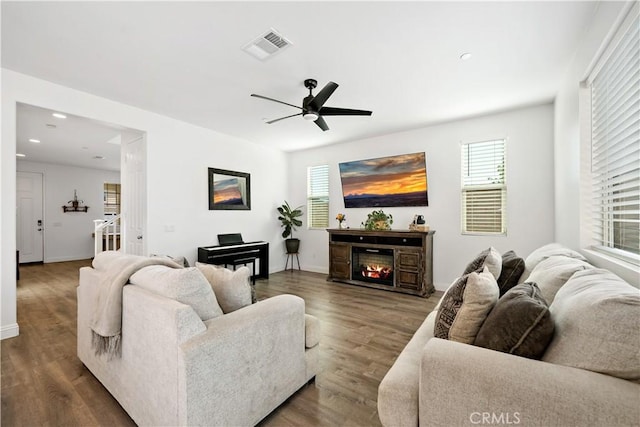 living room with a glass covered fireplace, visible vents, ceiling fan, and wood finished floors