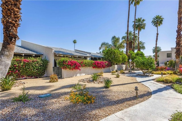 1150 E Palm Canyon Dr Unit 51, Palm Springs, CA 92264 - view of yard