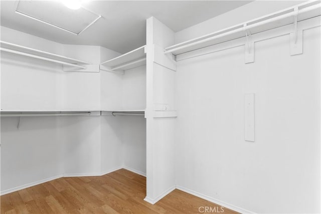 walk in closet featuring hardwood / wood-style flooring