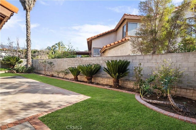 view of yard featuring a patio