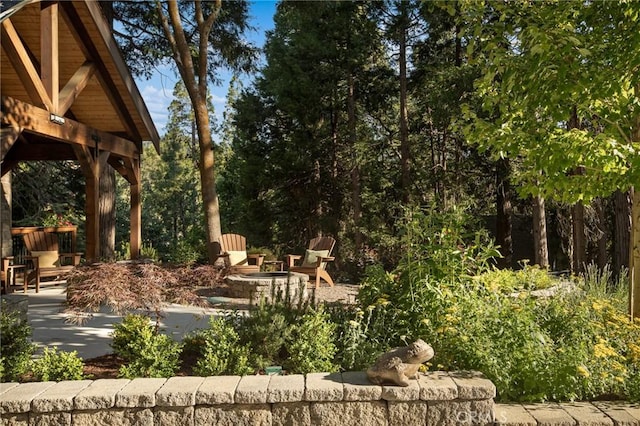 view of yard featuring an outdoor fire pit and a patio area