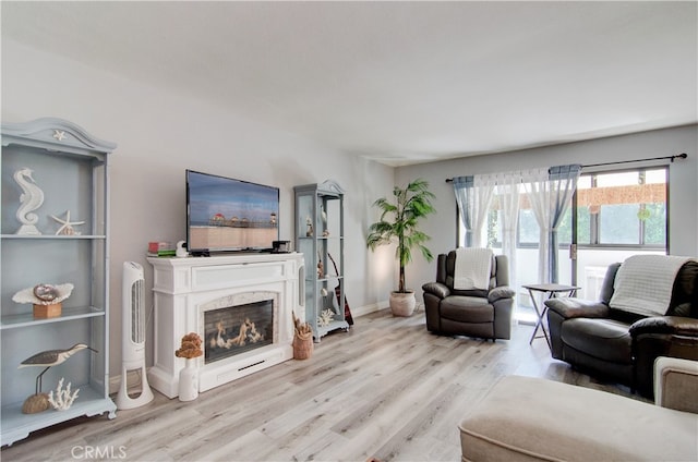 living room featuring light hardwood / wood-style floors and a premium fireplace