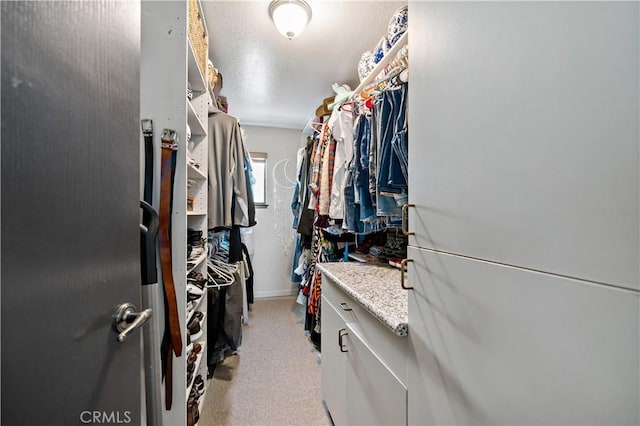 30451 San Pasqual Rd, Temecula, CA 92591 - spacious closet with light carpet