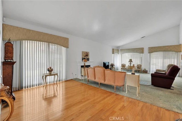 living room with wood-type flooring and lofted ceiling