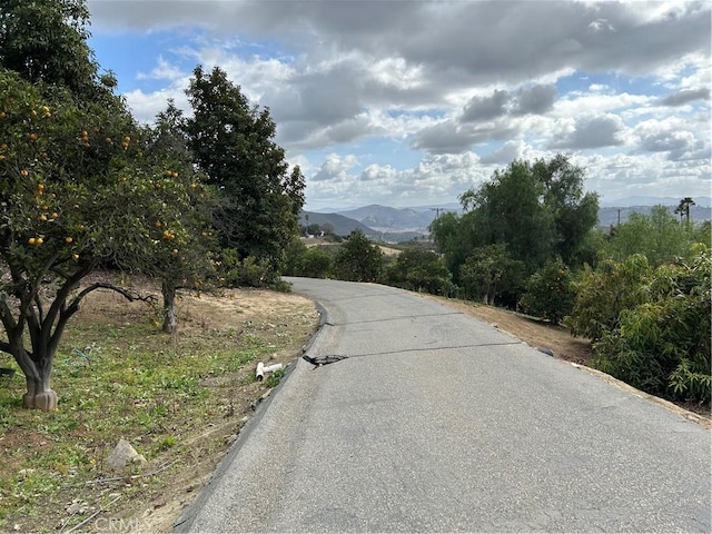 754 Rainbow Hills Rd, Fallbrook, CA 92028 - photo 4